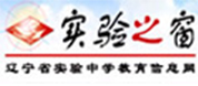 实险之窗